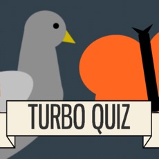 Activities of Turbo Quiz