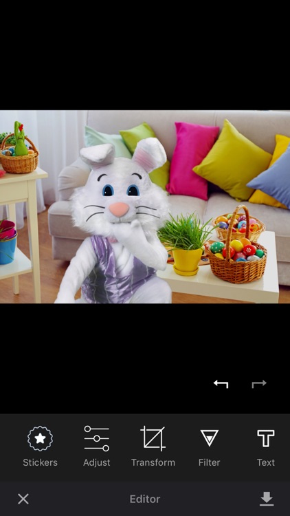 Catch the Easter Bunny screenshot-3