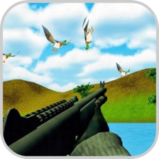 Activities of Duck Shoot: Animal Hunting