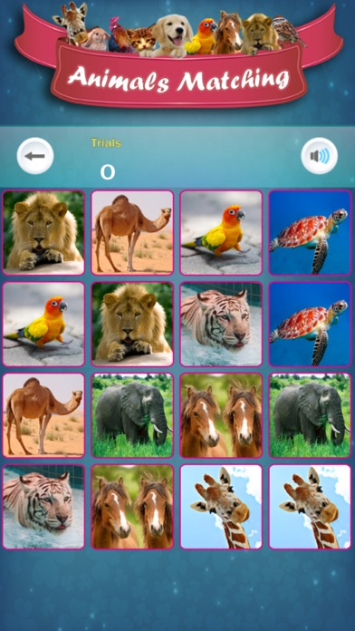 Matching Madness - Animals screenshot 2