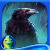 Dark Tales: The Raven