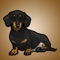 New Dachshund Dog Stickers and Emojis Pack