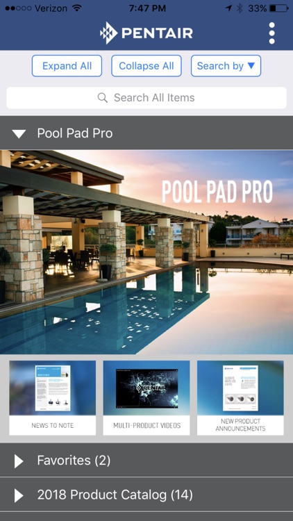 Pool Pad Pro