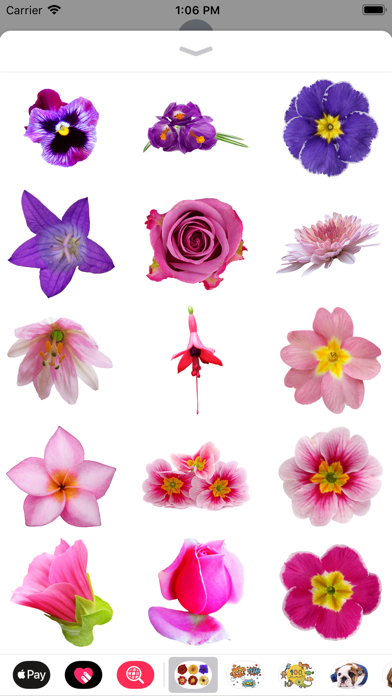 100+ Flower Stickers screenshot 4