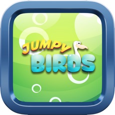 Activities of Jumpy Bird