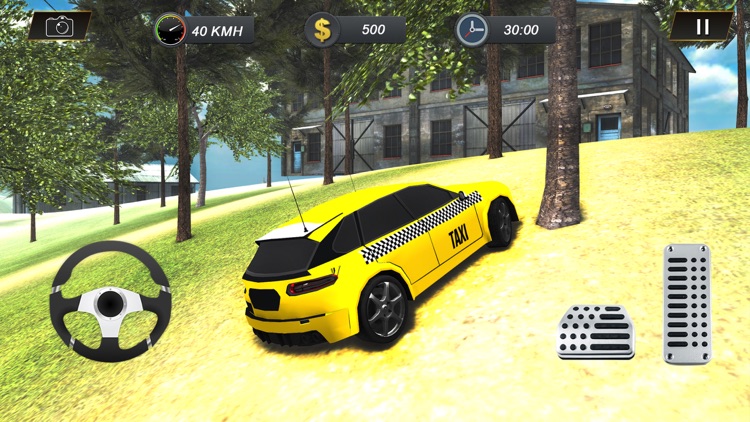 Real Offroad Taxi Simulator screenshot-3