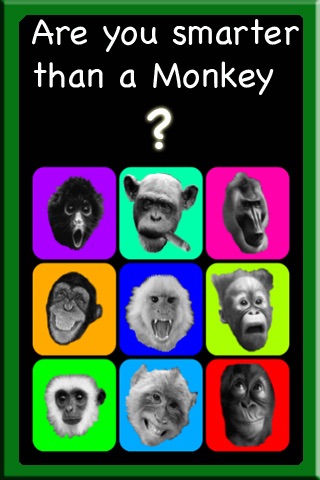 MonkeyIQ screenshot 4