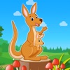 Kangaroo Jump Challenge
