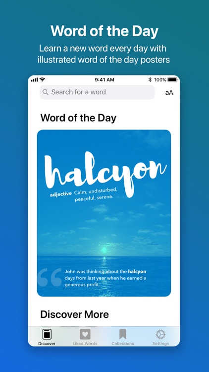 LookUp: English dictionary screenshot-0