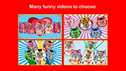 Videomoji Lucky Cats screenshot 2
