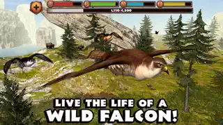 Falcon Simulator - Screenshot 1