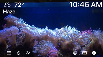 Aquarium 4K - Ultra HD Video screenshot 2
