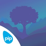 PIP The Loom