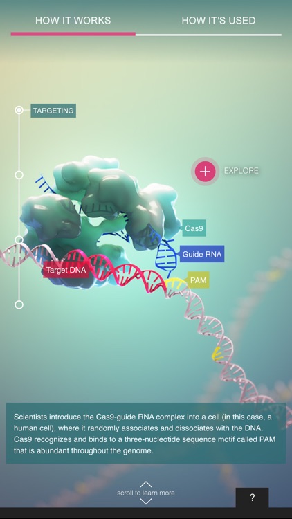 CRISPR-Cas9