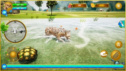Wild Cheetah Jungle Hunting screenshot 2