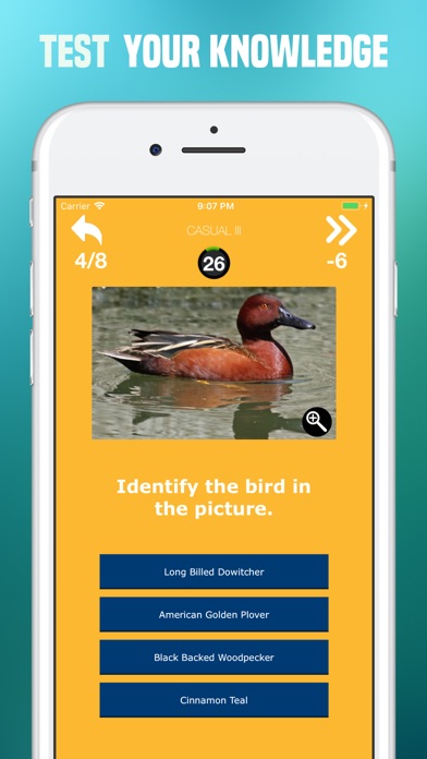 Birds Quiz - Birding Trivia screenshot 3
