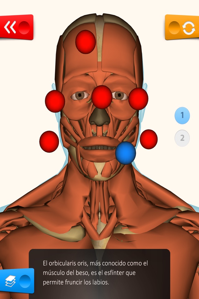 Educa Explorer Cuerpo Humano. screenshot 3