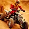 Drive your quad bike on muddy streams or terrains pitches that are challenging things for you to accomplish