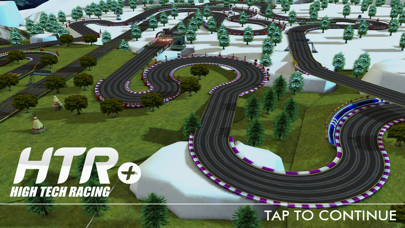 Slot Car HTR+ : 3D Simulation screenshot 2