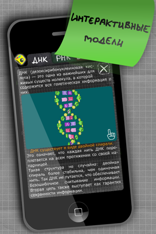 iMolekula: DNA, RNA, proteins screenshot 2