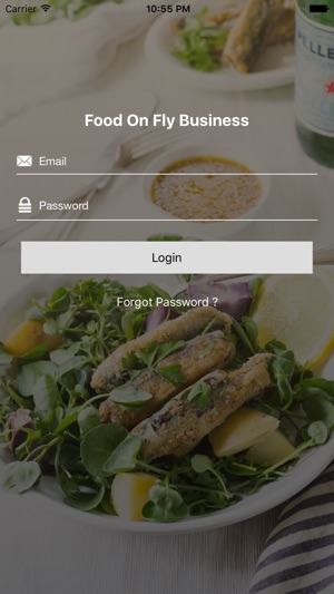 Business App Food On Fly