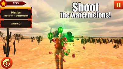Watermelon Shooting Ranger Pro screenshot 2