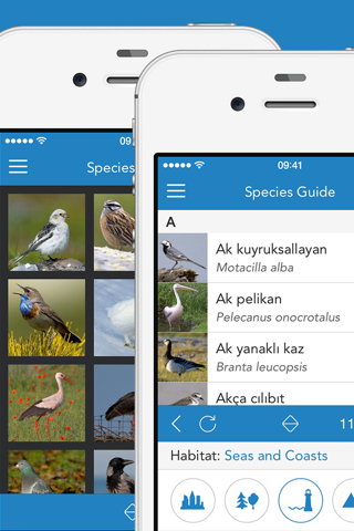 iKnow Birds 2 PRO - Europe screenshot 2