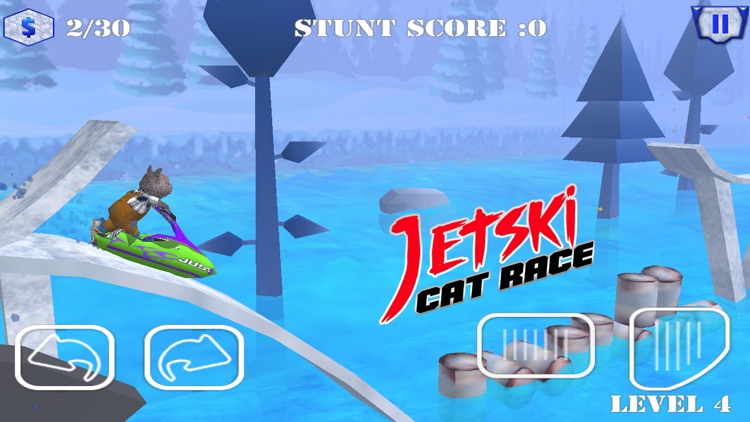 Jet Ski Cat Race screenshot-4