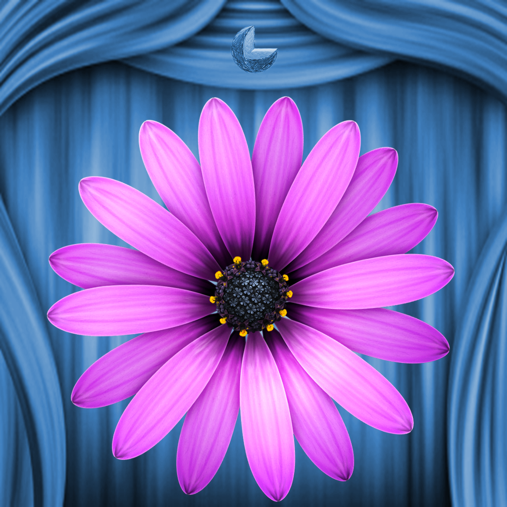 Kadın Takvimi App Icon