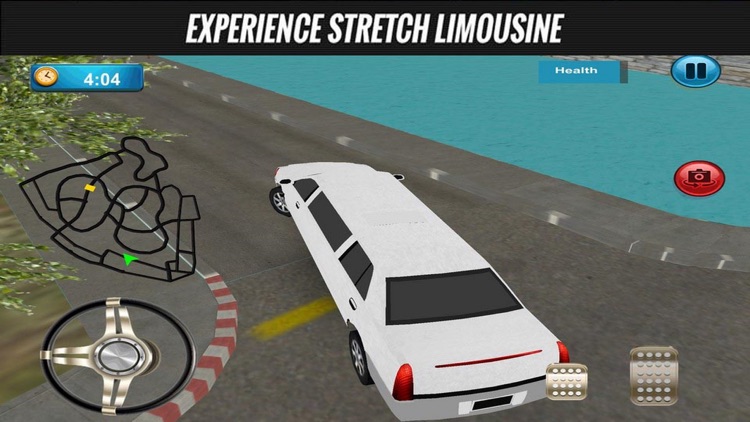 Luxury Limo City