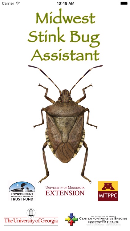 Midwest Stinkbug Assistant