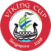 VikingCup Football Tournament