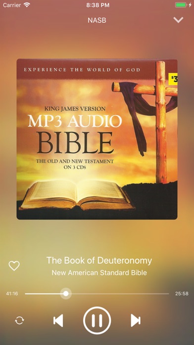 NASB Audio Bible screenshot1