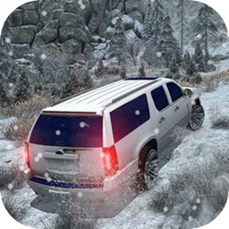 Offroad Snow Driving