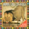 The Animal Calls of Africa app is taken from the popular Animal Calls of Africa CD