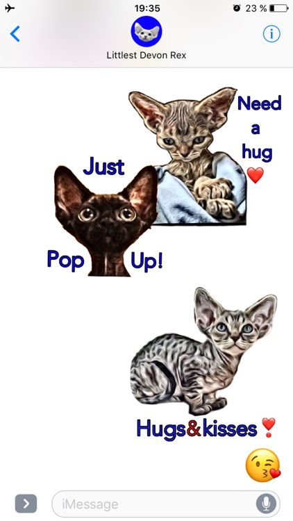 Littlest Devon Rex screenshot-4