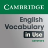 Vocabulary in Use Advanced