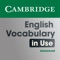 Vocabulary in Use Adv...