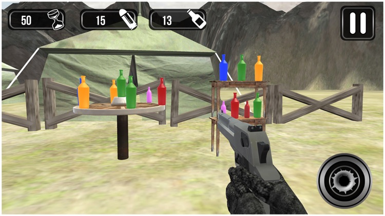 Expert Bottle Shoot 3D