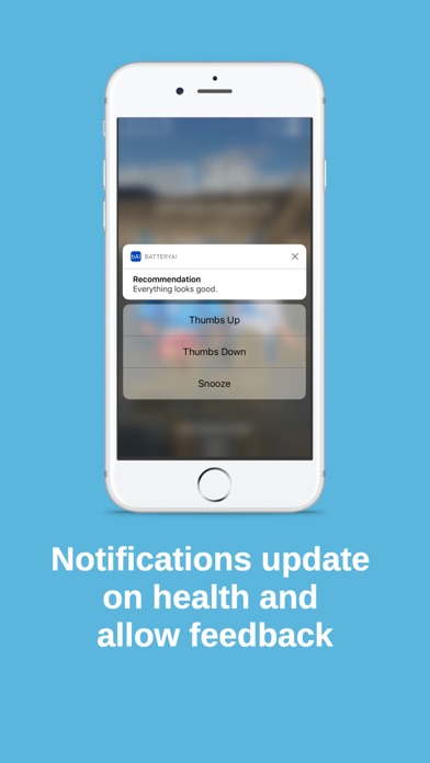 BatteryAI screenshot 2