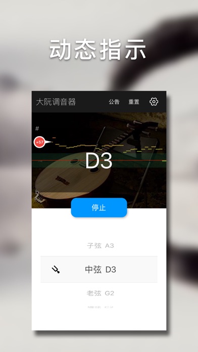 大阮调音大师 - 快捷专业调音器 screenshot 2
