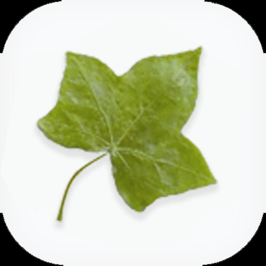 Get IVY World School, Jalandhar for iOS, iPhone, iPad Aso Report