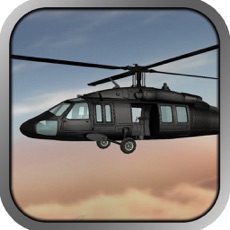 Activities of Black Hawk 3D Flight Simulator