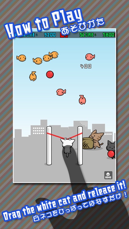 Cat Shot screenshot-0
