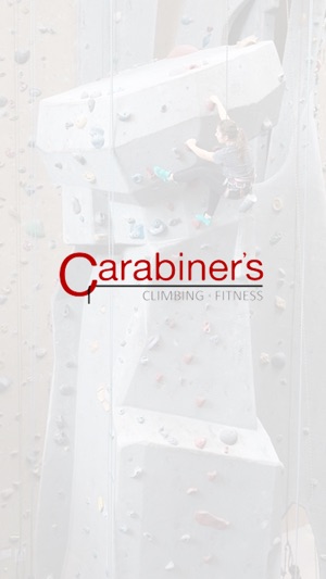 Carabiners Climbing & Fitness