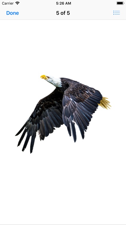 Exquisite Eagle Stickers screenshot-6