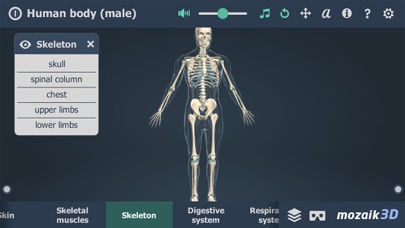 Human body (male) 3D screenshot 3