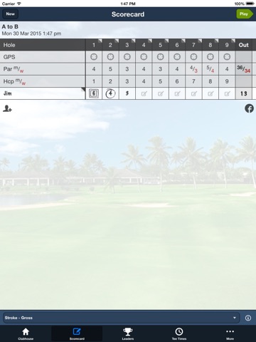 Hawaii Prince GC screenshot 3