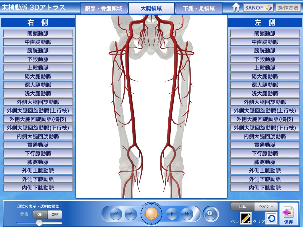 末梢動脈3Dアトラス screenshot 2