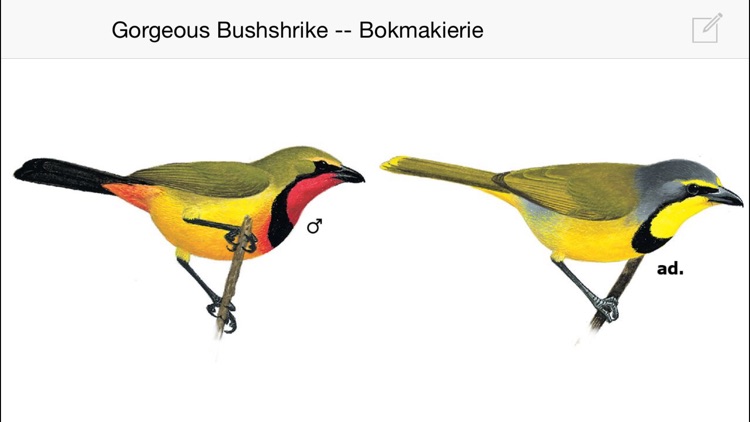 Sasol eBirds screenshot-4